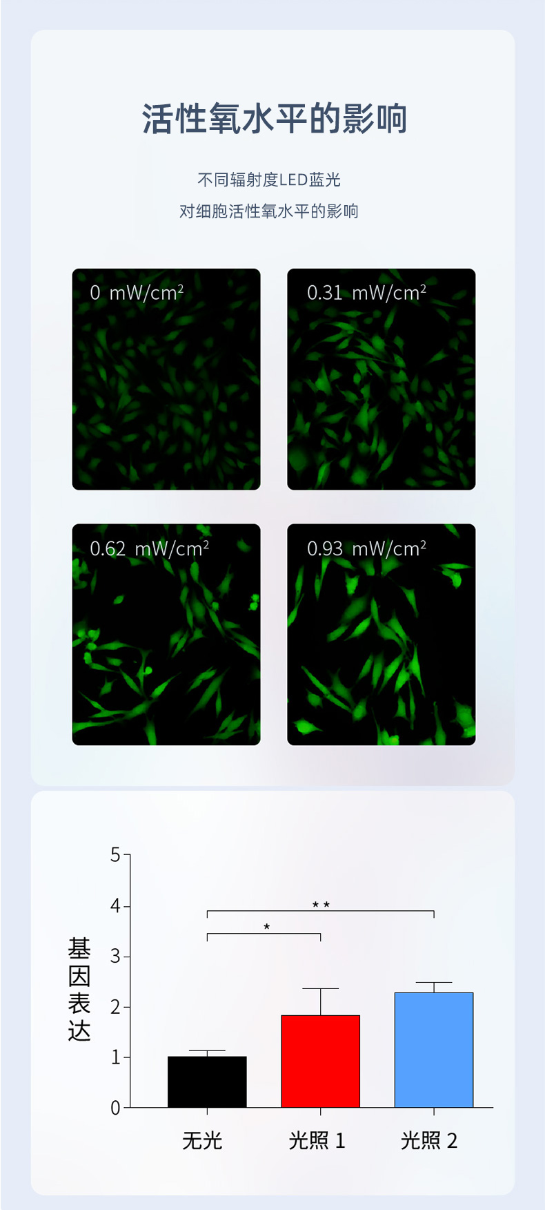 腰椎儀詳情_07.png